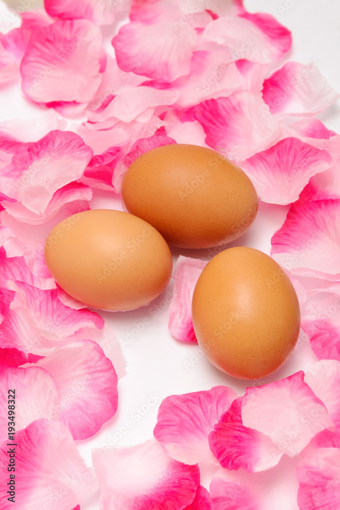 Three eggs brown on pink rose petals