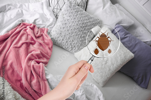 Φωτογραφία Woman with magnifying glass detecting bed bugs in bedroom