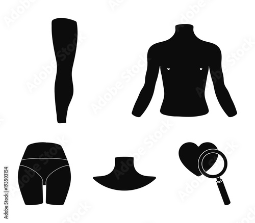 Torso, leg, neck and buttocks. Body parts set collection icons in black style vector symbol stock illustration web.
