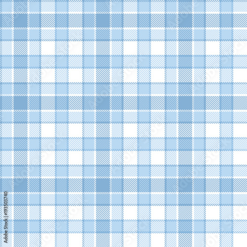 White and blue plaid seamless pattern. vector background