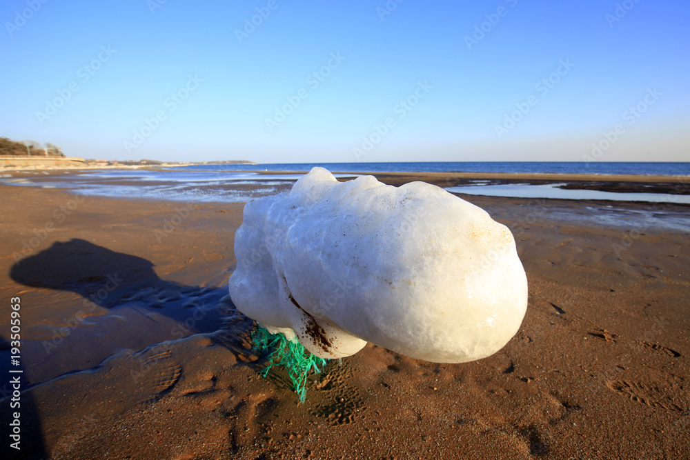 Obraz premium The seaside scenery is in winter