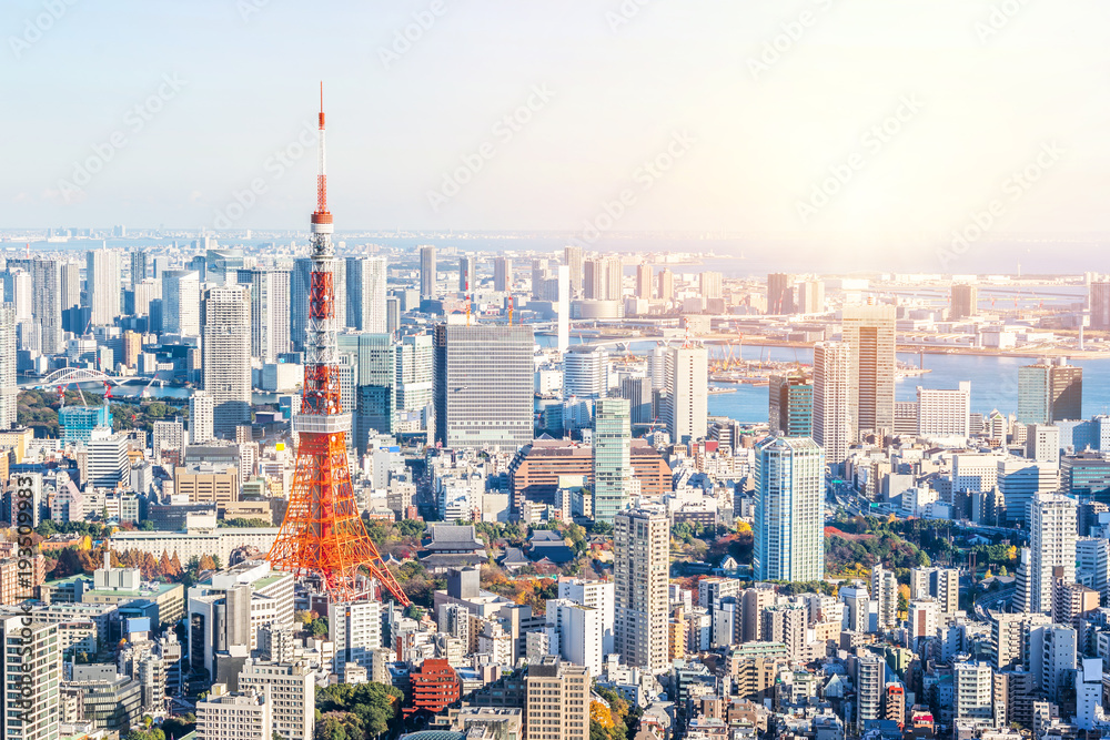 Asia Business concept for real estate and corporate construction - panoramic modern city skyline bird eye aerial view of tokyo and odaiba under blue sky in Roppongi Hill, Tokyo, Japan