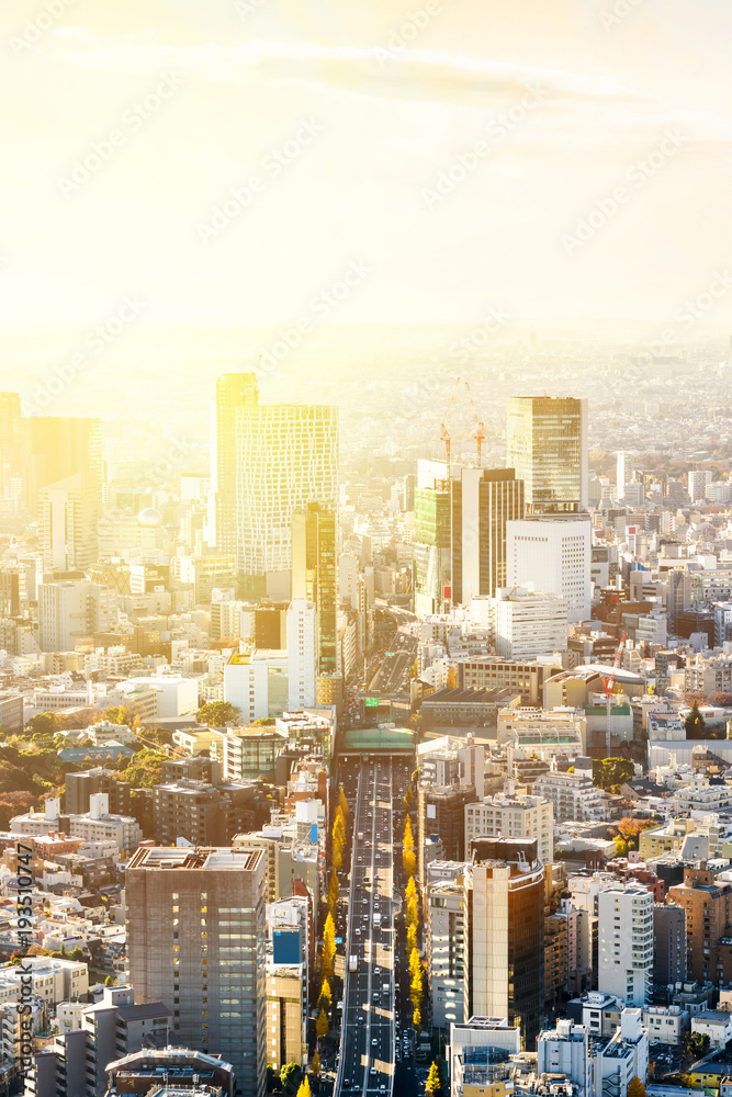 Naklejka premium Asia Business concept for real estate and corporate construction - panoramic modern city skyline bird eye aerial view of Shinjuku & Shibuya under blue sky in Roppongi Hill, Tokyo, Japan