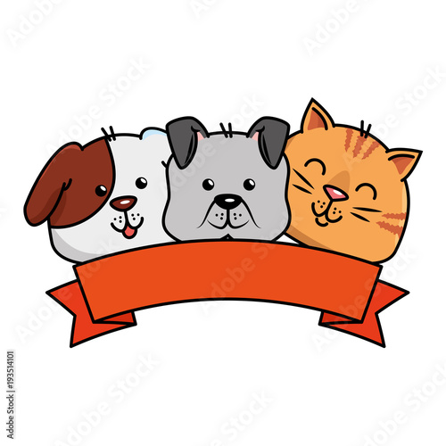 cute dog and cat with ribbon vector illustration design