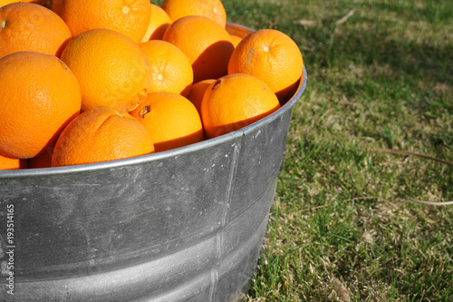 Oranges in Galvanized Metal Tub