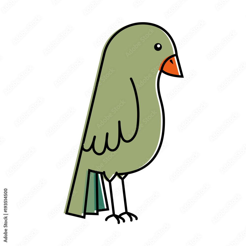 Fototapeta premium cute bird isolated icon vector illustration design
