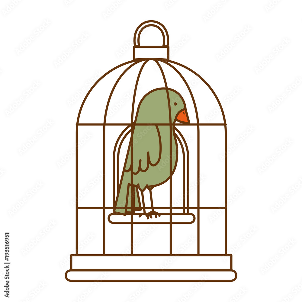 Fototapeta premium cute bird in cage vector illustration design