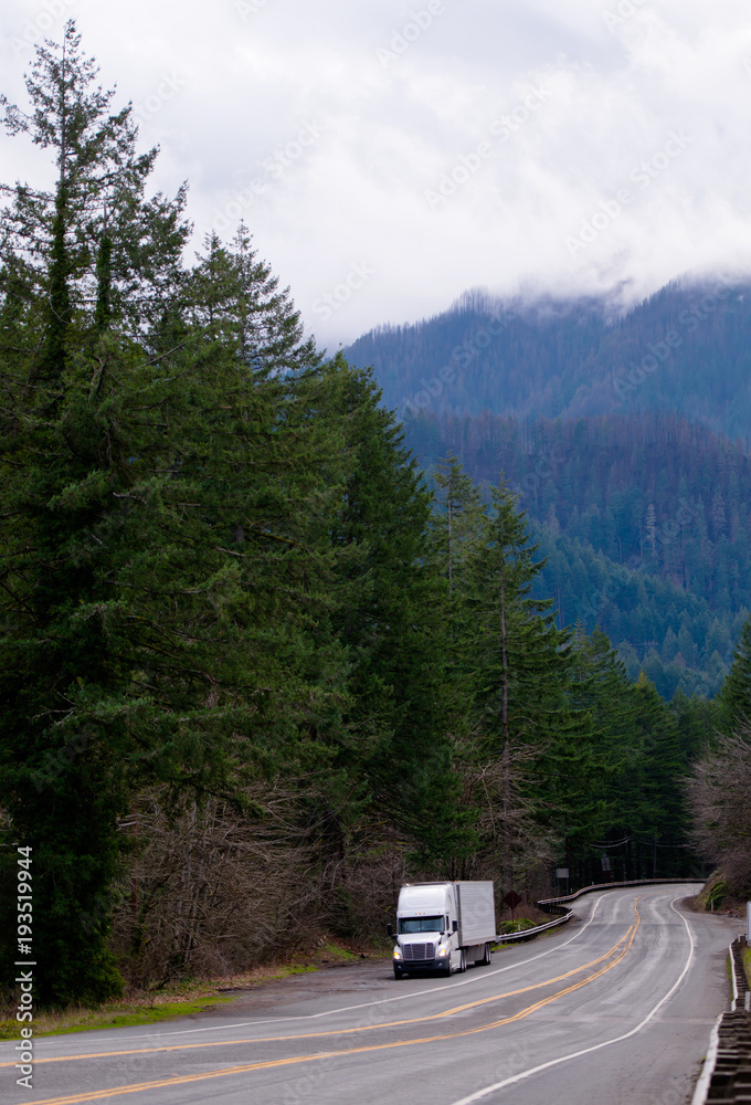 White big rig semi truck with reefer trailer stand on gorgeous road shoulder with mounts with evergreen forest White big rig semi truck with reefer trailer stand on gorgeous road shoulder with mounts with evergreen forest