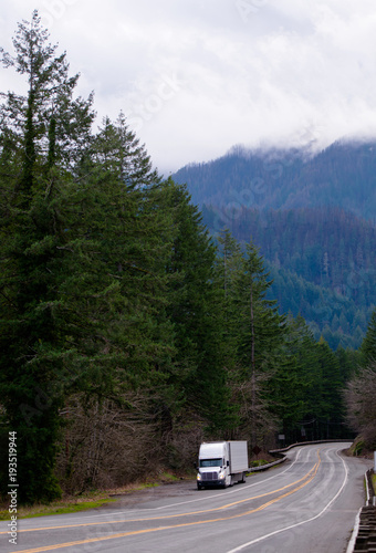 White big rig semi truck with reefer trailer stand on gorgeous road shoulder with mounts with evergreen forest