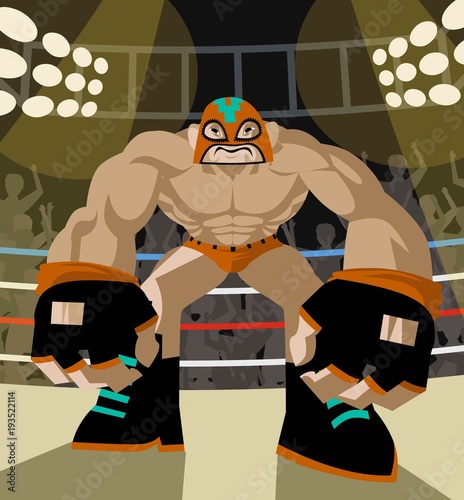 wrestling fighter masked wrestler