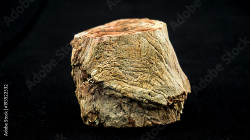 fossil stone
