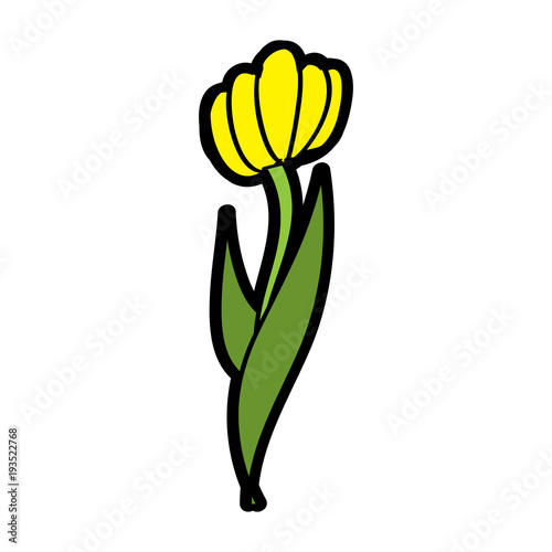 yellow flower natural botanical stem leaves icon vector illustration