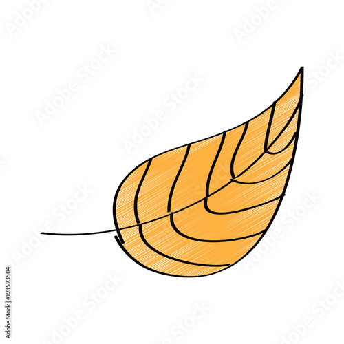 yellow leaf natural botanical icon vector illustration drawing design color