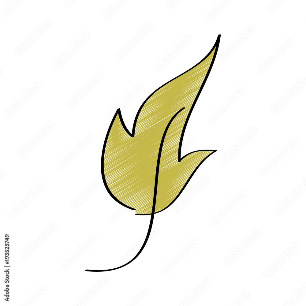 leaf foliage botany frond natural icon vector illustration drawing design color leaf foliage botany frond natural icon vector illustration drawing design color