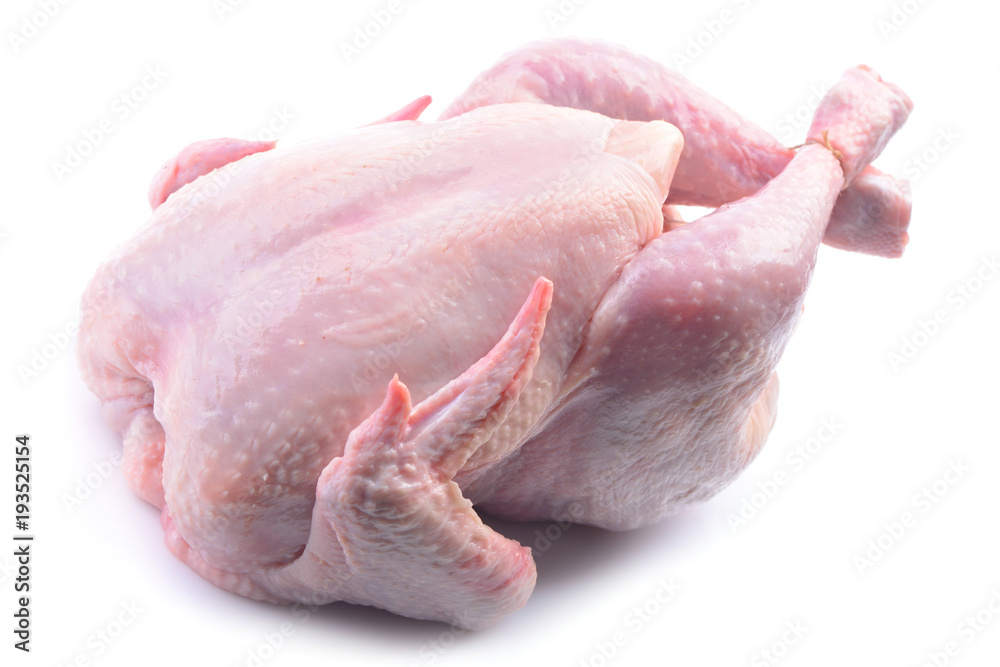 Chicken on a white background Chicken on a white background