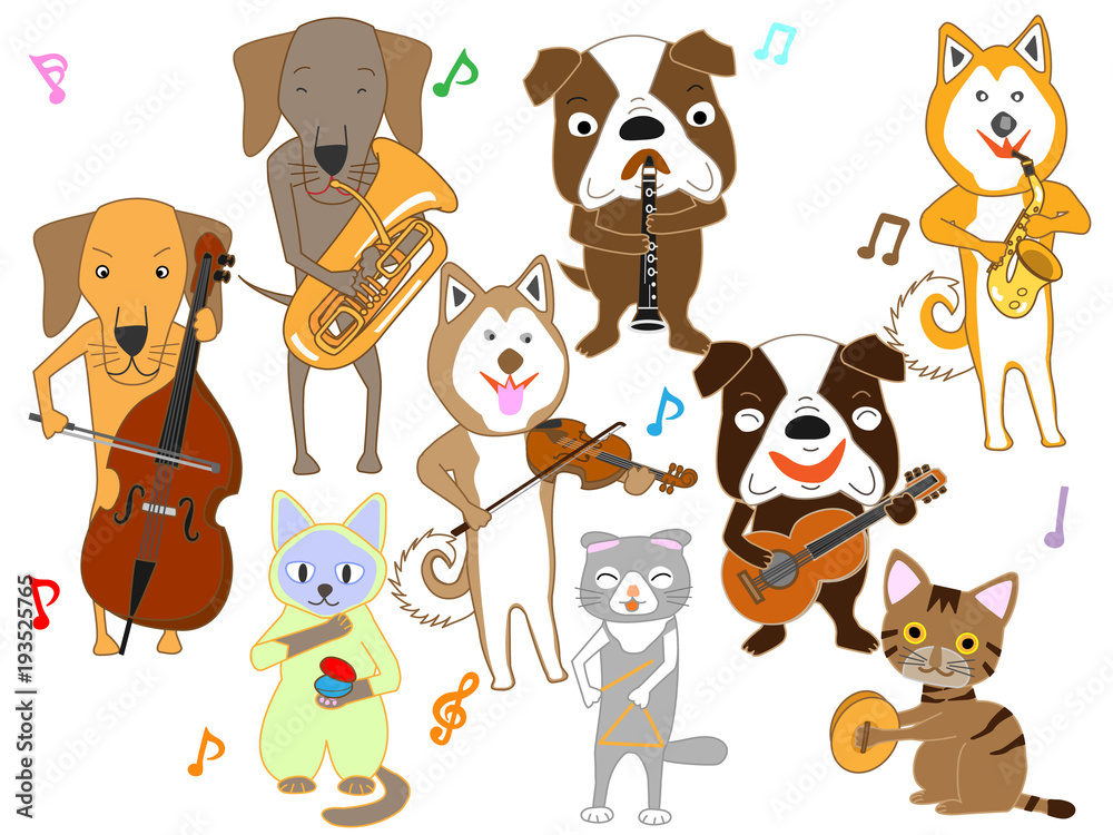 Fototapeta premium 犬と猫のコンサート。犬と猫が楽器を演奏している