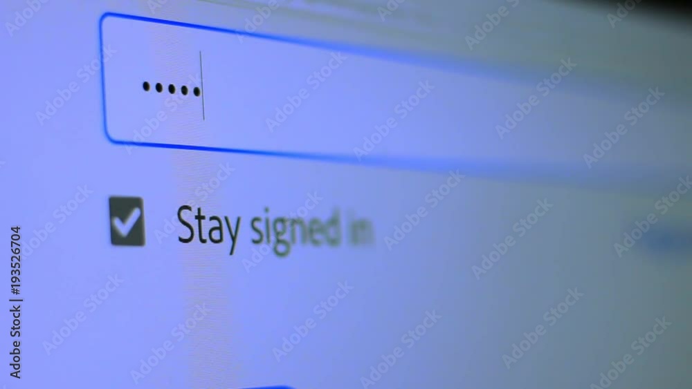 Enter the password for the website in the Internet. Encryption screen With flashing cursor Enter the password for the website in the Internet. Encryption screen With flashing cursor