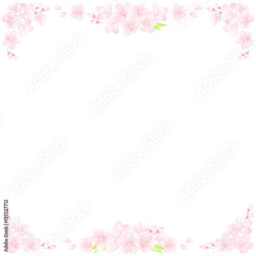 桜の装飾　コーナーフレーム © JJ.