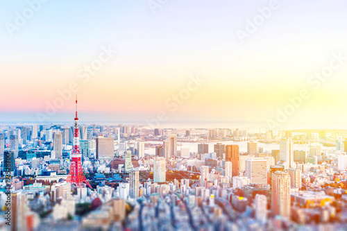 Asia Business concept for real estate and corporate construction - panoramic modern city skyline bird eye aerial view of tokyo tower in Roppongi Hill, Tokyo, Japan. Miniature Tilt-shift effect photo