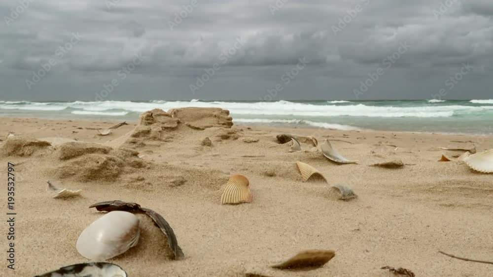 A Ground Level, Close Up Shot of Seashells on a beach with a Stormy Sea background. Grains of sand billow in the foreground around the Seashells. A Ground Level, Close Up Shot of Seashells on a beach with a Stormy Sea background. Grains of sand billow in the foreground around the Seashells.