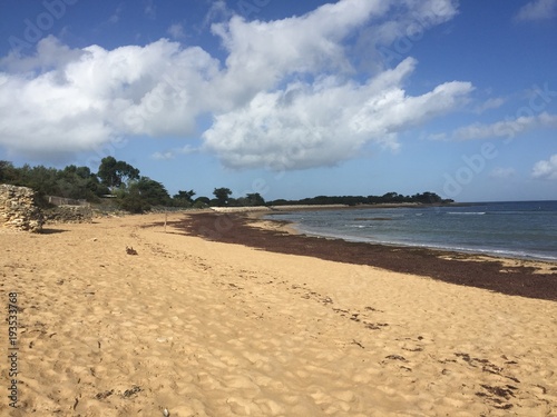 SABLE NATURE PAYSAGE