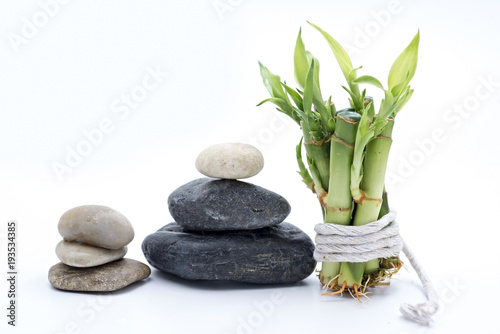 bamboo with stone isolated on white background