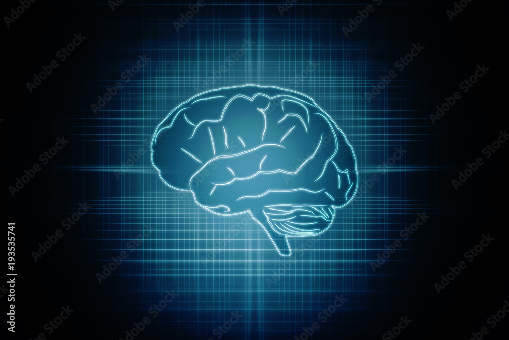 Human brain 2d illustration Human brain 2d illustration