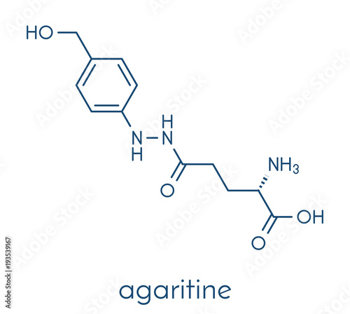 Agaritine mushroom toxin molecule. Skeletal formula.