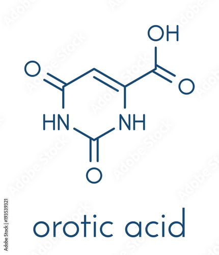 Orotic acid molecule. Skeletal formula. photo