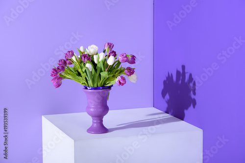 Fototapeta Naklejka Na Ścianę i Meble -  white and purple tulip flowers in vase on cube, ultra violet trend