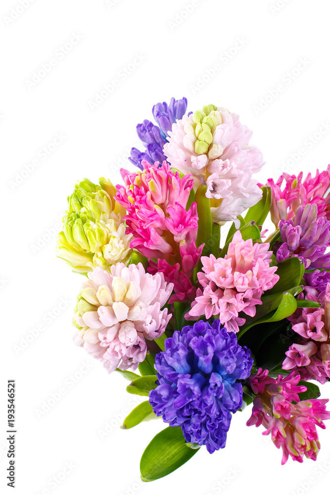 Fototapeta premium Lilac, blue, pink, raspberry hyacinths in a small, low bouquet. A holiday, a gift for a woman. Smart. View from above. Close up Isolated