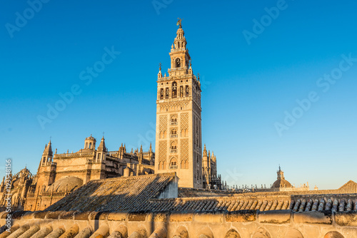Giralda in the city of Seville in Andalusia, Spain. photo