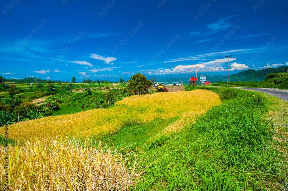 Obraz premium This nagari is located on the slope of Mount Marapi at an altitude of 500-700 meters above sea level.