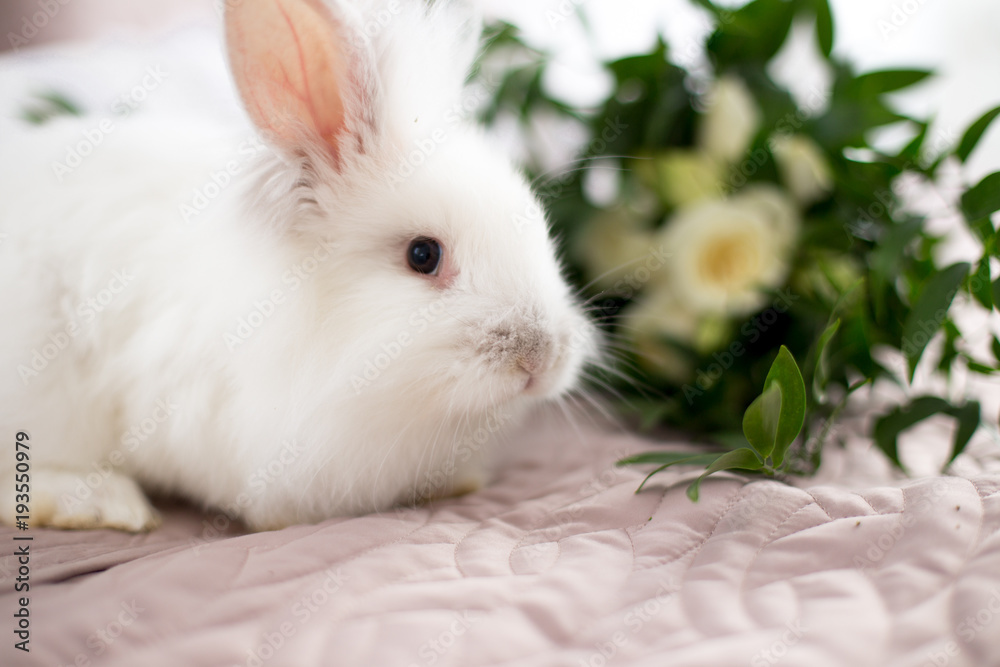 white small easter rabbit bunny with flowers white small easter rabbit bunny with flowers