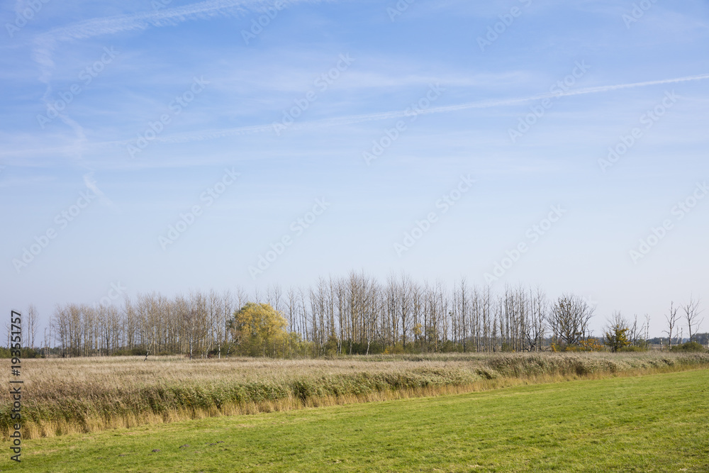 Sundische Wiese, Nationalpark Vorpommersche Bodenlandschaft, Ostzingst, Zingst, Fischland-Darß-Zingst, Mecklenburg-Vorpommern, Deutschland, Europa Sundische Wiese, Nationalpark Vorpommersche Bodenlandschaft, Ostzingst, Zingst, Fischland-Darß-Zingst, Mecklenburg-Vorpommern, Deutschland, Europa