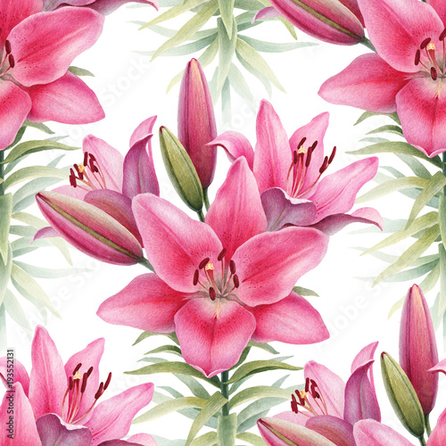 Watercolor illustrations of lily flowers. Seamless pattern