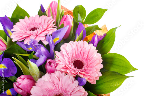 Bouquet of pink gerberas, violet irises and pink, crimson tulips in a package of paper. A holiday, a gift for a woman. Big and smart. Close up. Isolated.