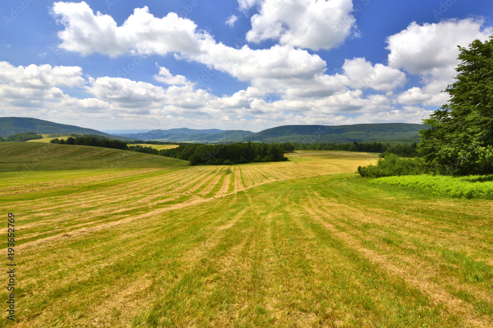  Rural landscape in the Low Beskid, Slovakia