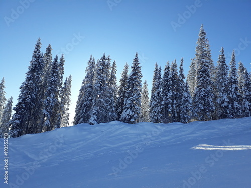 Blue sky alpin © Helle