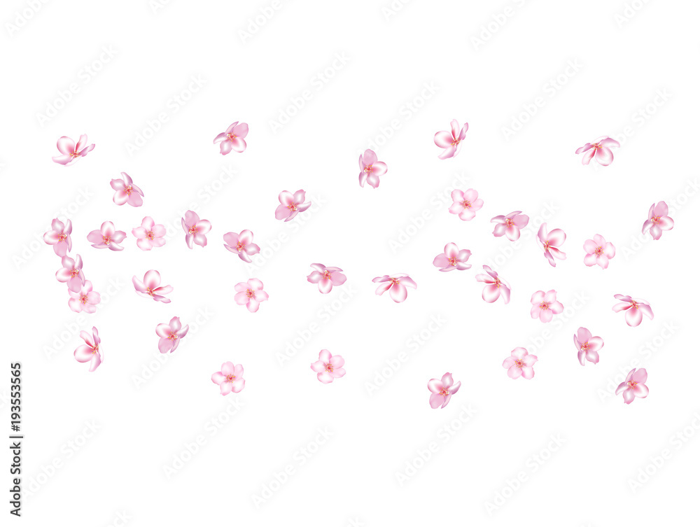 Pink Cherry Blossom Vector Confetti. Holiday Wedding Birthday Decoration Realistic Pink Cherry Blossom Confetti. Spring Apple, Sakura or Apricot Blooming Showering. Light Magic Flying Petals Design.