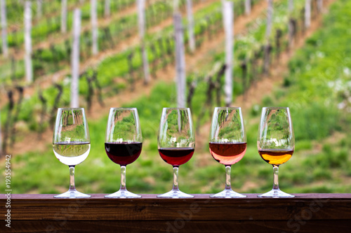 Glasses with wine. Red, pink, white wine in glasses.