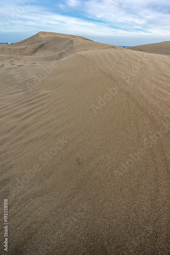 Gran Canaria  Spain. Sand dunes in Maspalomas natural park. Located in the area of the municipality of San Bartolom   de Tirajana