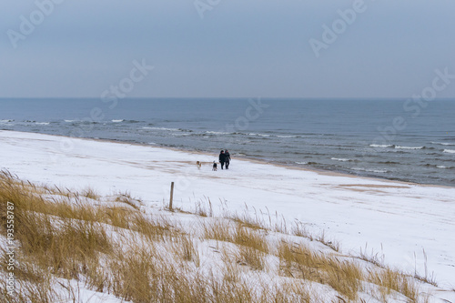people walking on beach covered with snow
