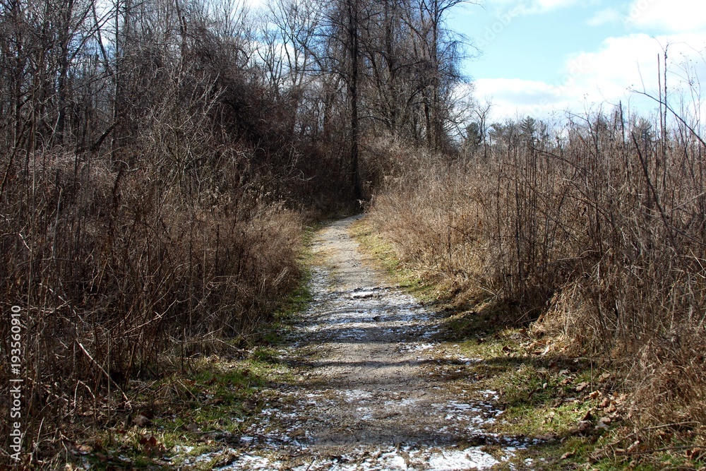 The snow on the trail in the tall grass field. The snow on the trail in the tall grass field.