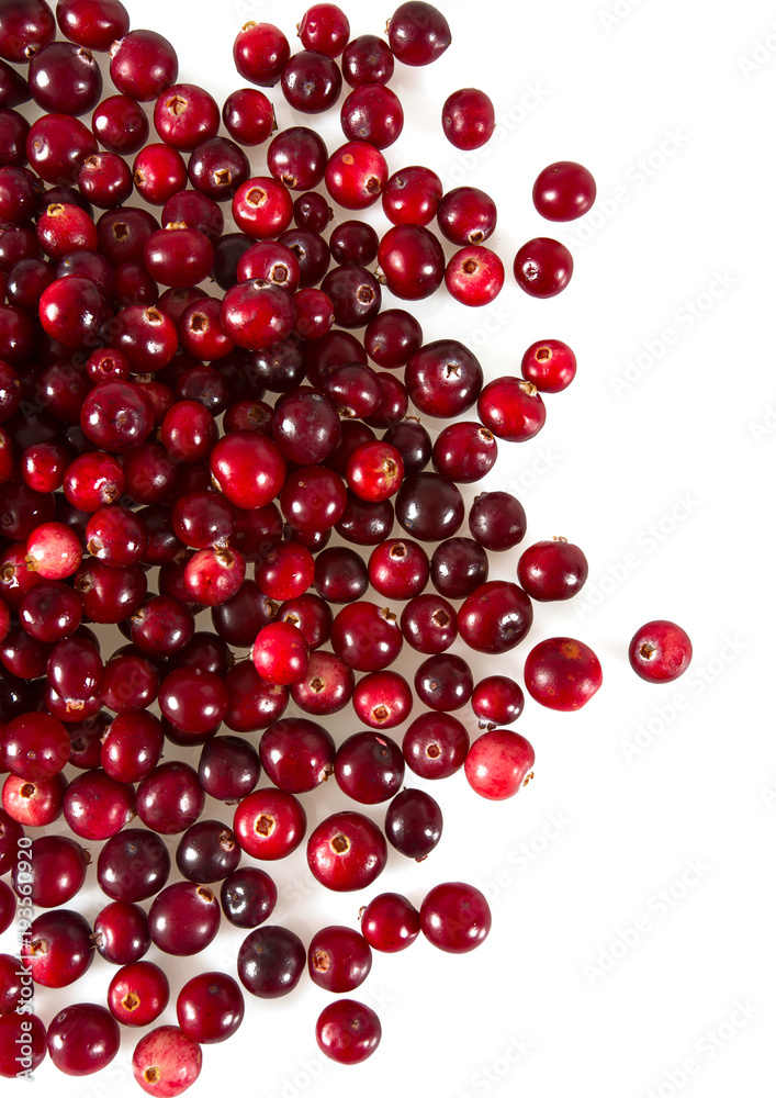 cranberries isolated on white cranberries isolated on white
