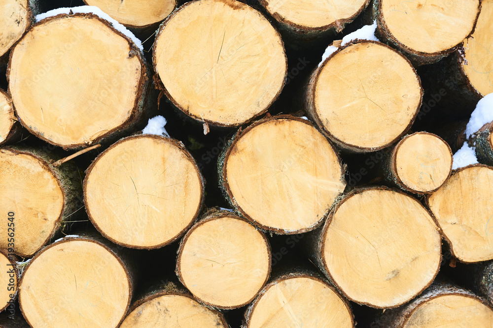 Wood pile in the forest covered with. Snowed firewood. Rural winter. Winter in mountains. Winter in forest. Natural fuel. Christmas eve Wood pile in the forest covered with. Snowed firewood. Rural winter. Winter in mountains. Winter in forest. Natural fuel. Christmas eve