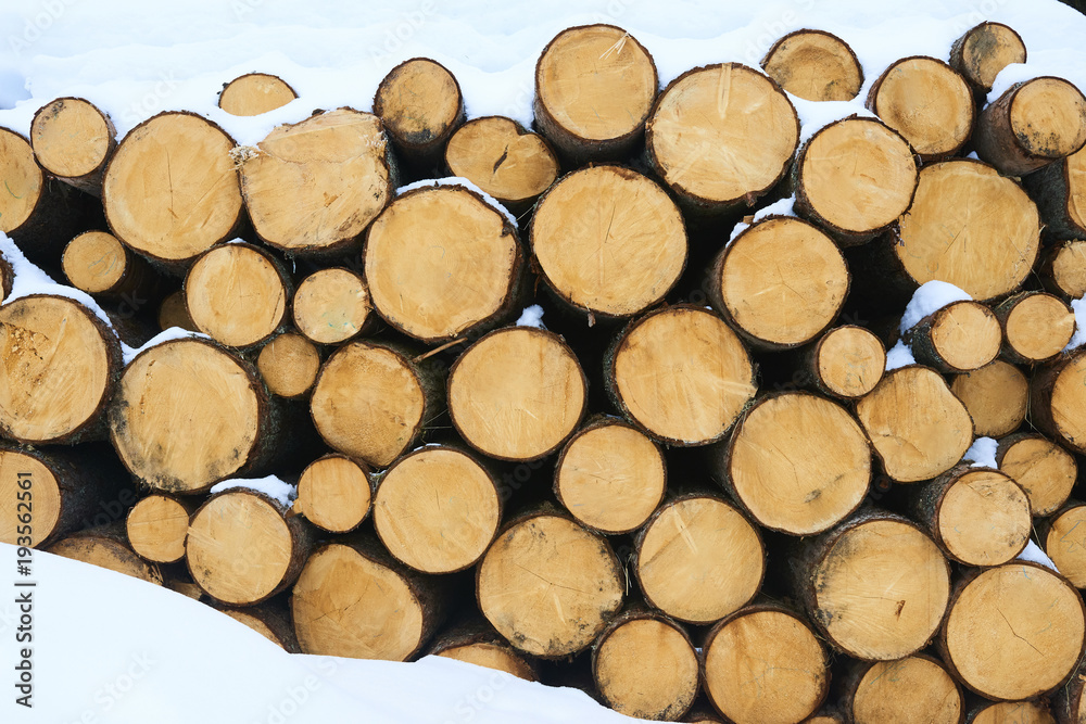 Wood pile in the forest covered with. Snowed firewood. Rural winter. Winter in mountains. Winter in forest. Natural fuel. Christmas eve