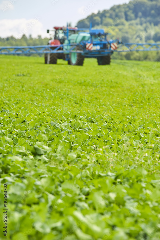 Tractor spraying pesticides on field with sprayer at spring Tractor spraying pesticides on field with sprayer at spring