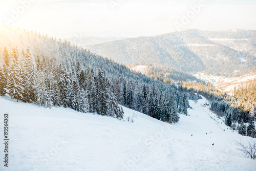 Landscape view on the beautiful Carpathian mountains with ski slope and fir forest during the sunny weather © rh2010