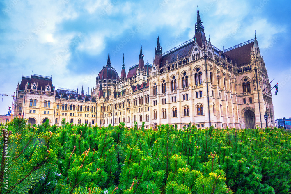 The famous Hungarian parliament in Budapest, Hungary.